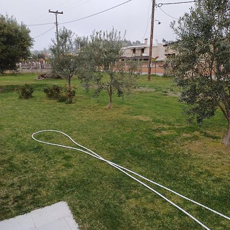 Gioulis Apartments & Studios Nea Plagia Zewnętrze zdjęcie
