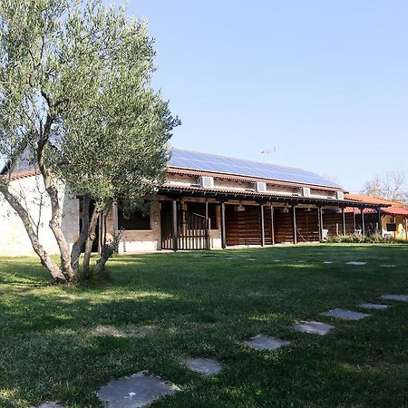 Gioulis Apartments & Studios Nea Plagia Zewnętrze zdjęcie